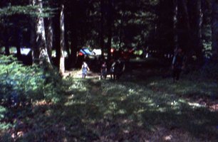 Image description