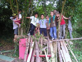 Image description