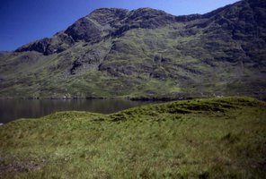 Image description