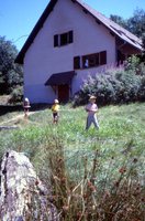 Image description