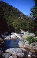 Image description