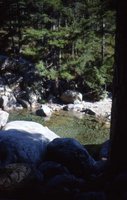 Image description