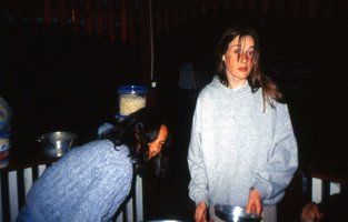 Image description