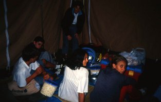 Image description