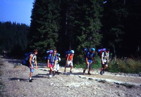 Image description
