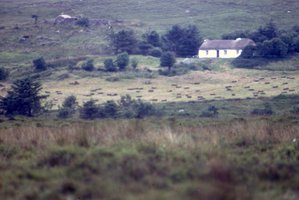 Image description