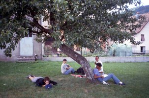 Image description