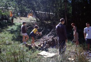 Image description