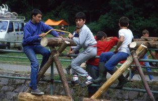 Image description