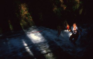 Image description
