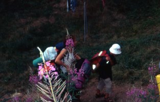 Image description