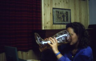 Image description