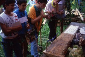 Image description