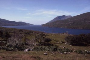 Image description