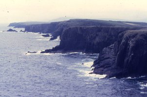 Image description