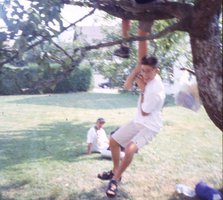 Image description