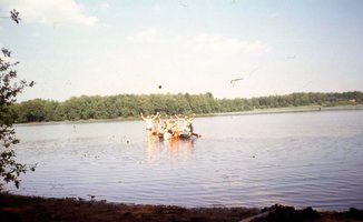 Image description