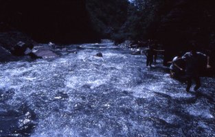Image description