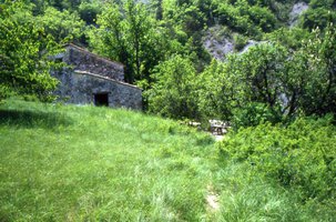 Image description