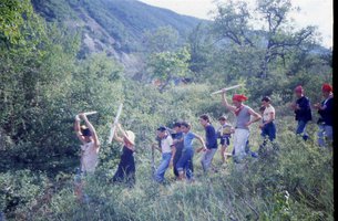 Image description