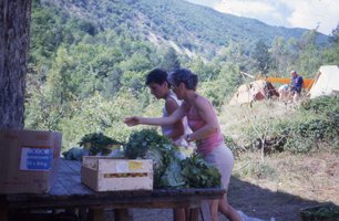 Image description